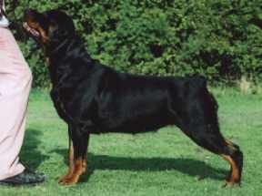 101.jpg (9192 bytes)