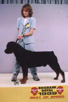 104.jpg (10027 bytes)