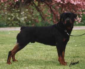 105.jpg (8448 bytes)