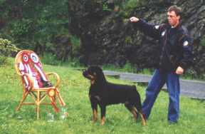 108.jpg (8332 bytes)