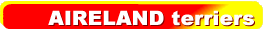 aireland.gif (2840 bytes)
