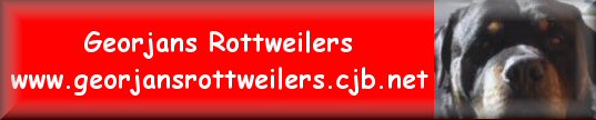 georjansrottweilers.jpg (16149 bytes)
