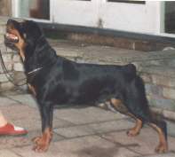 modestyblaze.jpg (5757 bytes)